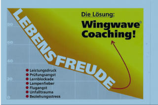 Wingwave Coaching Brünisholz